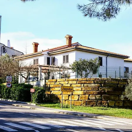 Sunset Daire Jagodje